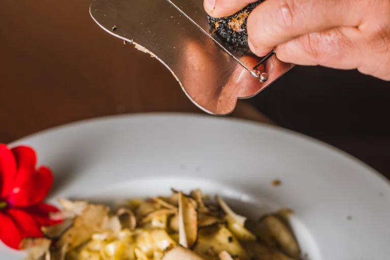 Cotton Club Pljukanci with truffles